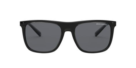 Armani Exchange AX 4102S 8318/87