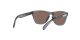 Oakley Frogskins Xxs OJ 9009 02