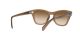 Ray-Ban RB 0707S 6640/51