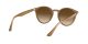 Ray-Ban RB 2180 6166/13