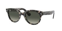 Ray-Ban Orion RB 2199 1333/71