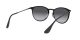 Ray-Ban Erika Metal RB 3539 002/8G