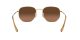 Ray-Ban Hexagonal RB 3548N 9124/43