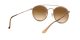 Ray-Ban RB 3647N 9070/51