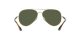 Ray-Ban RB 3675 001/31