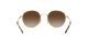 Ray-Ban RB 3681 001/13