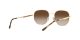 Ray-Ban RB 3682 001/13