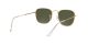 Ray-Ban Frank RB 3857 9196/58