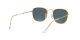 Ray-Ban Frank RB 3857 9196/R5