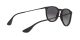 Ray-Ban Erika RB 4171 622/8G