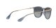 Ray-Ban Erika RB 4171 6592/T3