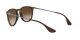 Ray-Ban Erika RB 4171 865/13