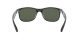 Ray-Ban Andy RB 4202 6069/71