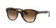 Ray-Ban RB 4203 710/13