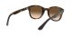 Ray-Ban RB 4203 710/13