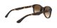 Ray-Ban RB 4203 710/13