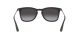 Ray-Ban RB 4221 622/8G