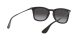 Ray-Ban RB 4221 622/8G