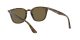 Ray-Ban RB 4258 710/73