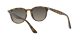 Ray-Ban RB 4259 710/11