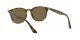 Ray-Ban RB 4259 710/73