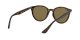 Ray-Ban RB 4305 710/73