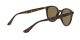 Ray-Ban RB 4305 710/73