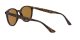 Ray-Ban RB 4305 710/83