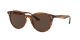 Ray-Ban RB 4305 820/73