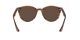 Ray-Ban RB 4305 820/73