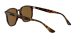 Ray-Ban RB 4306 710/83