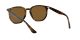 Ray-Ban RB 4306 710/83