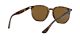 Ray-Ban RB 4306 710/83