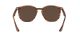 Ray-Ban RB 4306 820/73