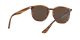 Ray-Ban RB 4306 820/73