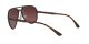 Ray-Ban RB 4320/CH 710/6B