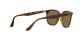 Ray-Ban RB 4362 710/73