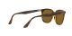 Ray-Ban RB 4362 710/83