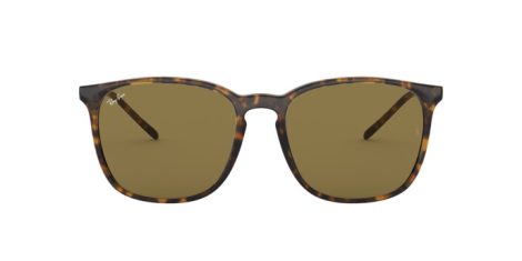 Ray-Ban RB 4387 710/73