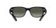 Ray-Ban RB 4388 601/71