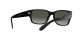 Ray-Ban RB 4388 601/71