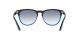 Ray-Ban Iris RB 4471 6632/19