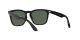 Ray-Ban Steve RB 4487 6629/71