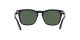 Ray-Ban Steve RB 4487 6629/71