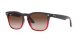 Ray-Ban Steve RB 4487 6631/13