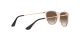 Ray-Ban Junior Erika RJ 9060S 7108/13